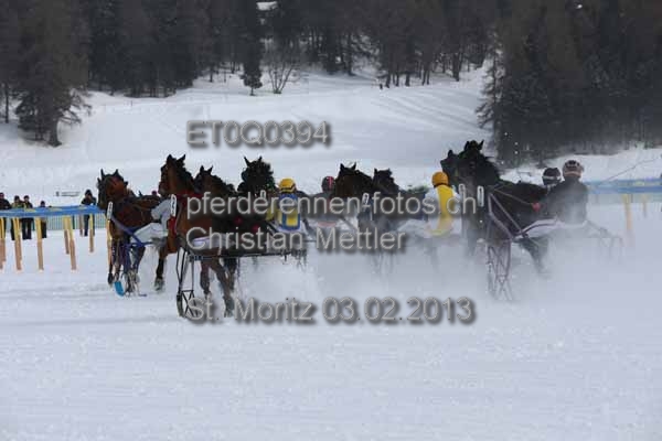 ET0Q0394 prot